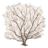 Ashford Soft Coral VII