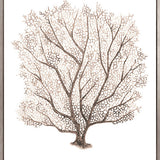 Ashford Soft Coral VII (Canvas)