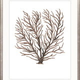 Ashford Soft Coral VIII