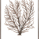 Ashford Soft Coral VIII (Canvas)