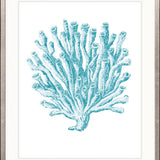 Ashford Soft Coral X