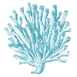 Ashford Soft Coral X