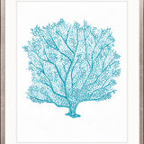 Ashford Soft Coral XI