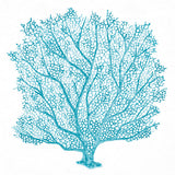 Ashford Soft Coral XI