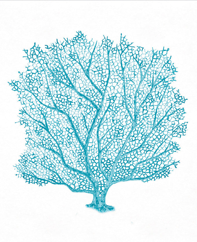 Ashford Soft Coral XI