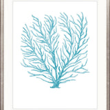 Ashford Soft Coral XII