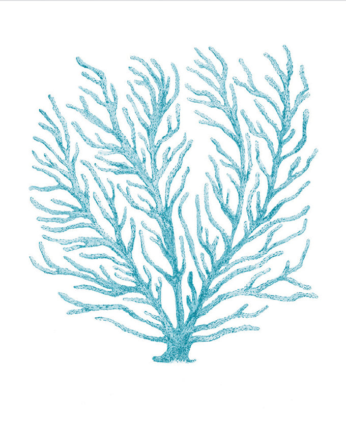 Ashford Soft Coral XII