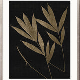 Luxe Asiatic Palms V
