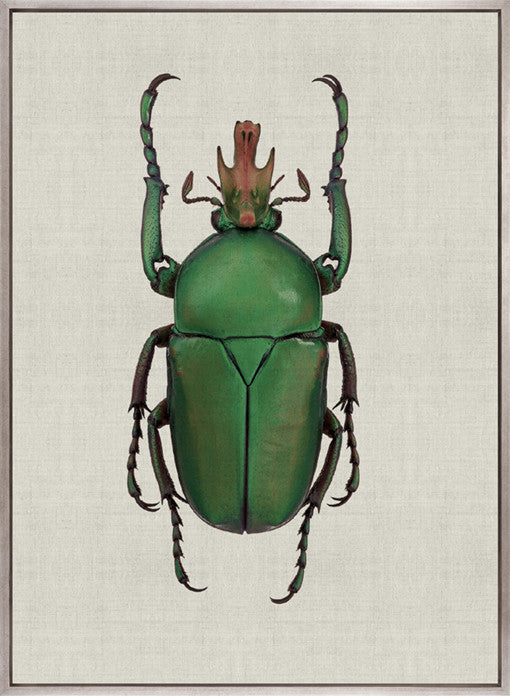 Beetle Subject IX (Canvas)