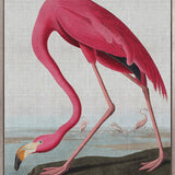 Exquisite Bird III (Canvas)