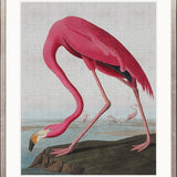 Exquisite Bird III