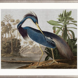 Exquisite Bird VII