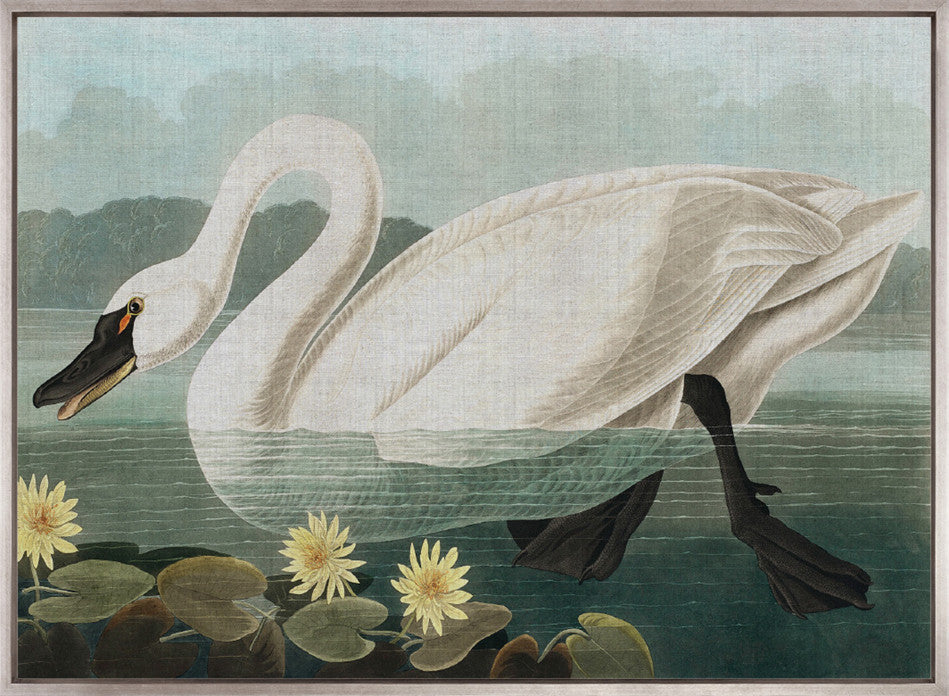 Exquisite Bird VIII (Canvas)