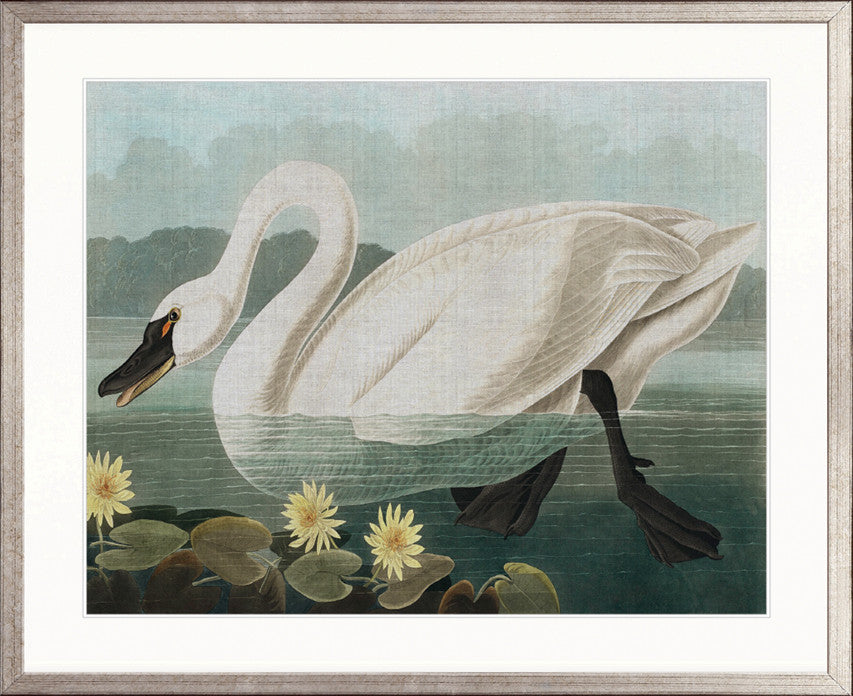 Exquisite Bird VIII