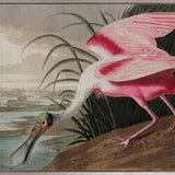 Exquisite Bird IX (Canvas)