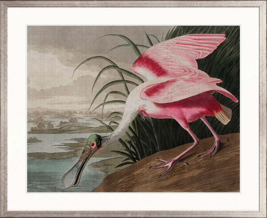 Exquisite Bird IX