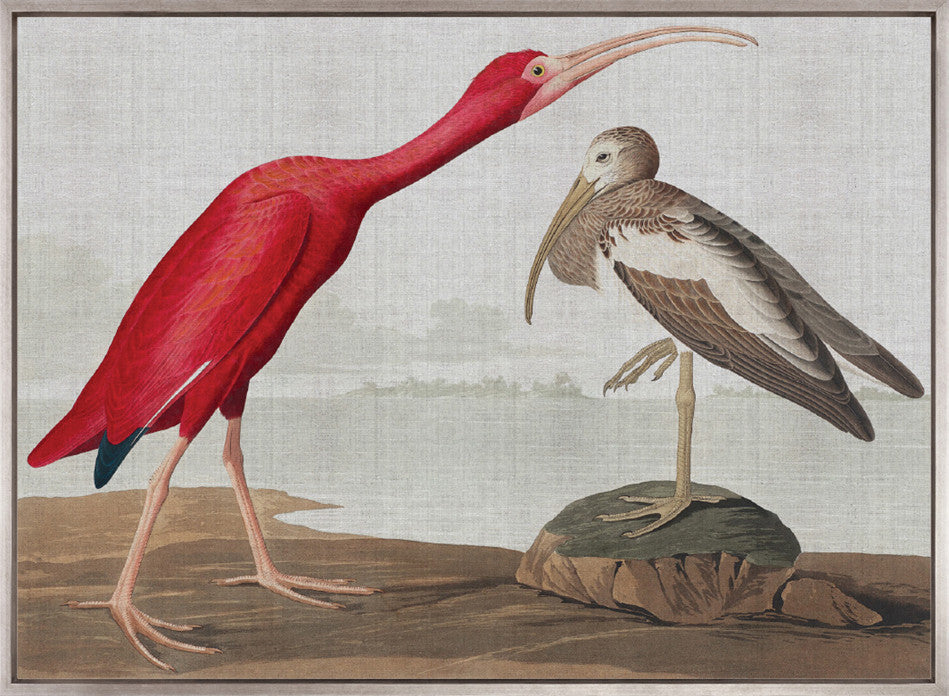 Exquisite Bird X (Canvas)