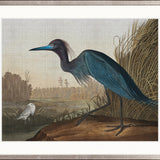Exquisite Bird XI