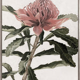 Native Bloom IV (Canvas)