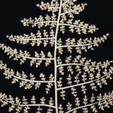 Palora Blossom I X-Large (1050mm W x 1050mm H) / Clear Acrylic