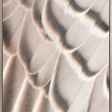 Aviles Feather I (Canvas)