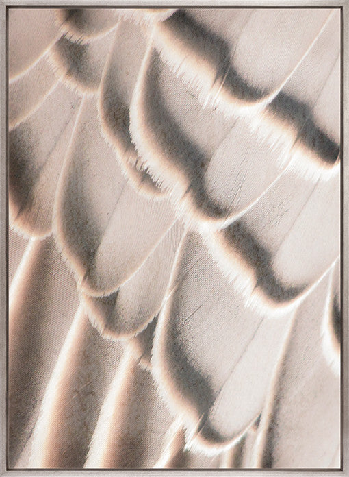 Aviles Feather I (Canvas)