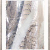 Aviles Feather II
