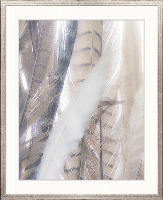 Aviles Feather II