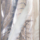 Aviles Feather II (Canvas)