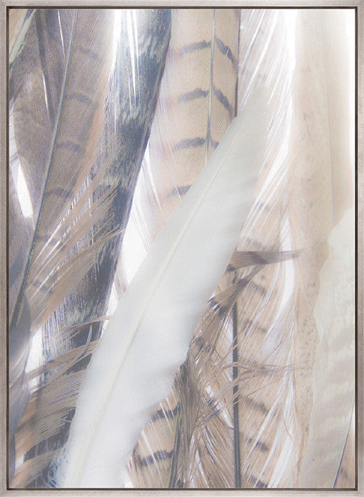 Aviles Feather II (Canvas)