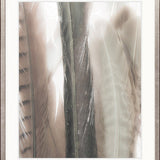 Aviles Feather IV