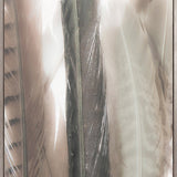 Aviles Feather IV (Canvas)