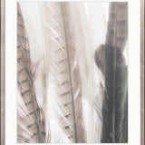 Aviles Feather VI