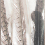 Aviles Feather VI (Canvas)