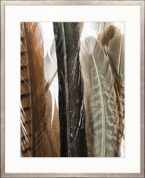 Simple Feather I