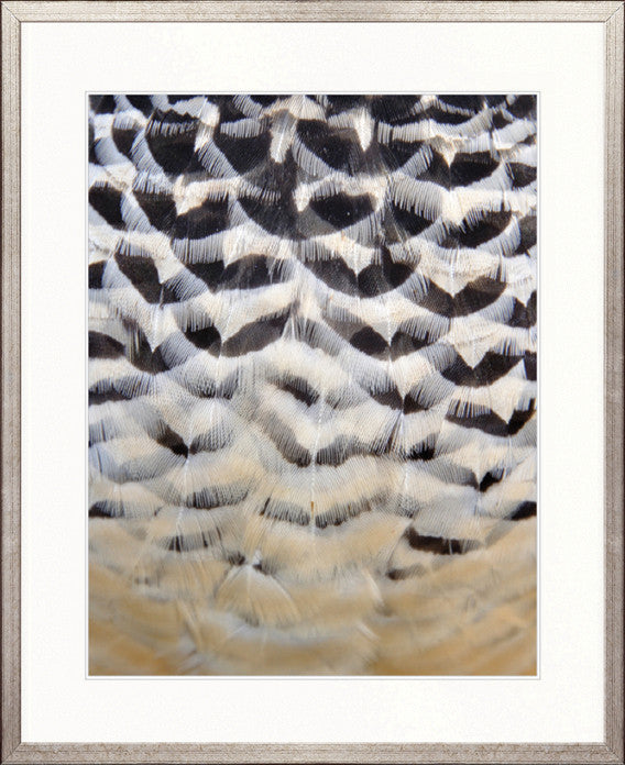 Simple Feather IV