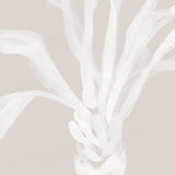 St Bartholomew Palm II (Canvas) Large (903mm W x 1109mm H)