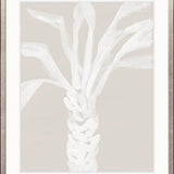 St Bartholomew Palm II
