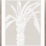 St Bartholomew Palm III