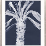 St Bartholomew Palm IV