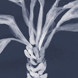 St Bartholomew Palm V (Canvas) Large (903mm W x 1109mm H)