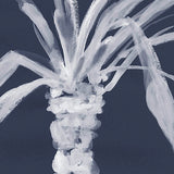 St Bartholomew Palm VI (Canvas) Large (903mm W x 1109mm H)