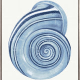 Baudin Shell I (Canvas) Large (903mm W x 1109mm H)