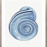 Baudin Shell I Small (465mm W x 560mm H) / Standard Clear Glass