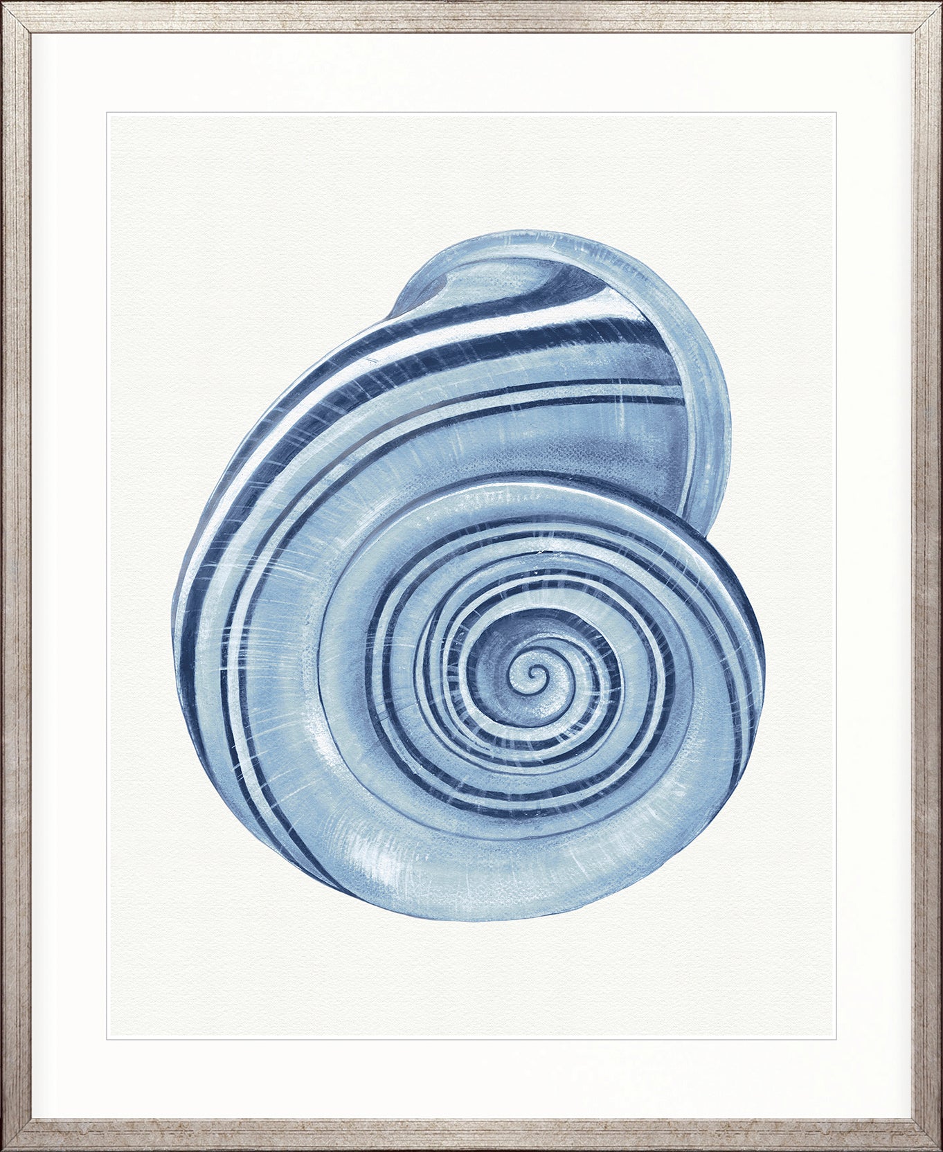 Baudin Shell I