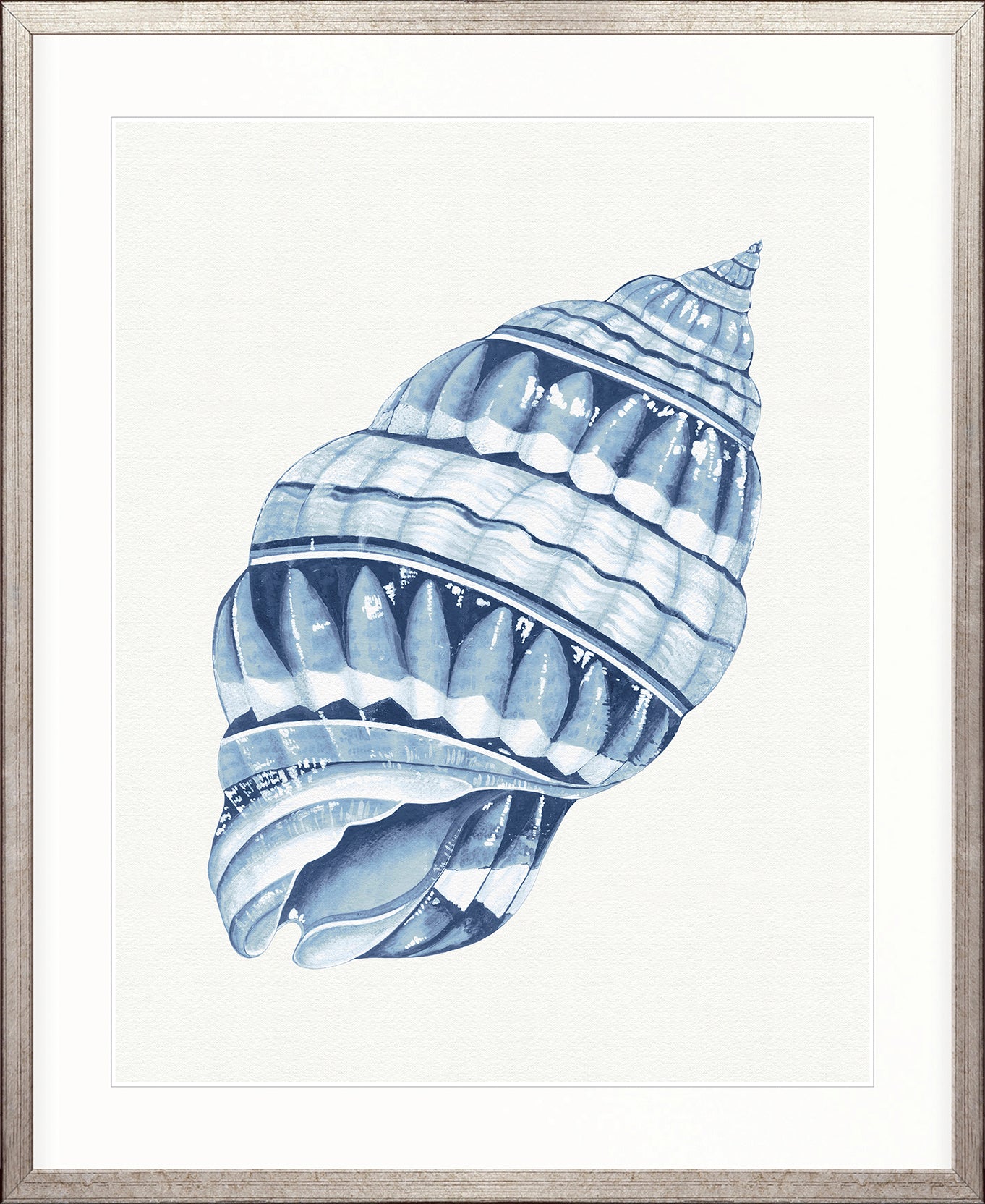 Baudin Shell II