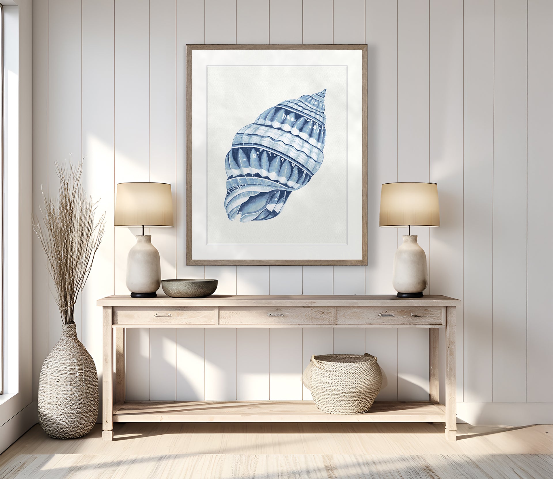 Baudin Shell Collection