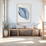 Baudin Shell III (Canvas) Large (903mm W x 1109mm H)