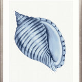 Baudin Shell III Small (465mm W x 560mm H) / Standard Clear Glass