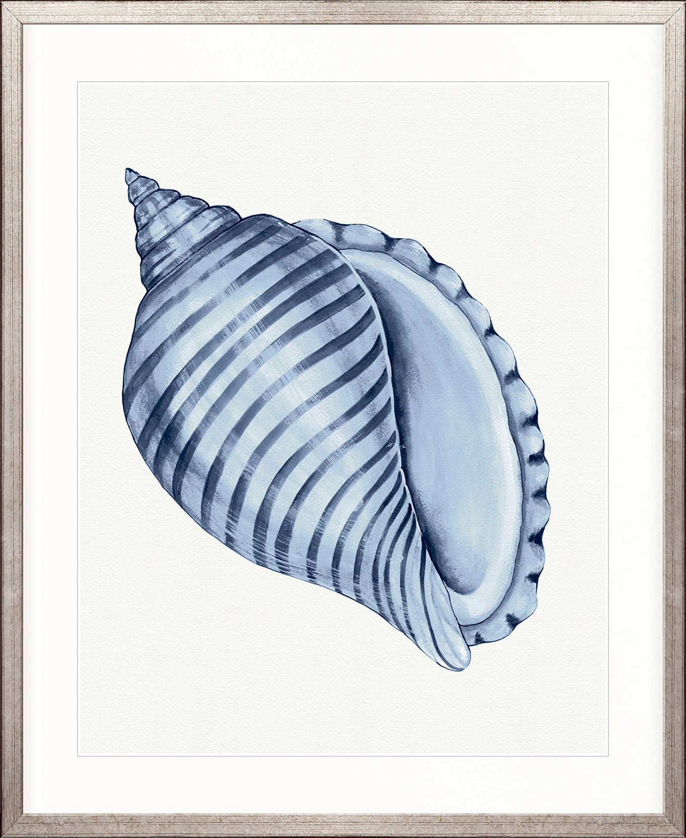 Baudin Shell III